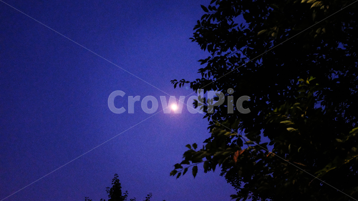 한강,서울,대한민국,여의도한강,여름,야경,밤,풍경,nightscape,night,landscape,nature,자연,outdoors,옥외,astronomy,천문학,outer space,대기권 밖,universe,우주