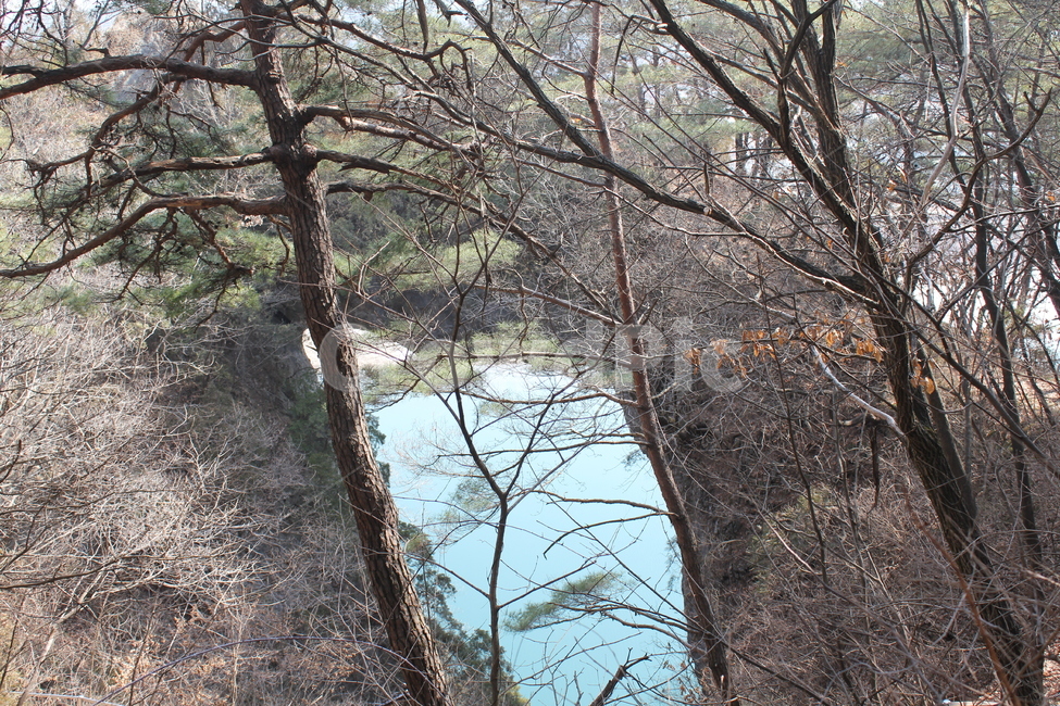 자연,풍경,경치,감성,아름다움,네츄럴,자연,풍경,nature,landscape,tree,나무,plant,식물,tree trunk,나무 줄기