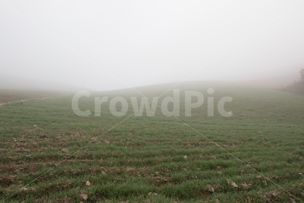 언덕,안개,풀,동산,바람의언덕,자연,풍경,nature,landscape,weather,날씨,outdoors,옥외,fog,mist
