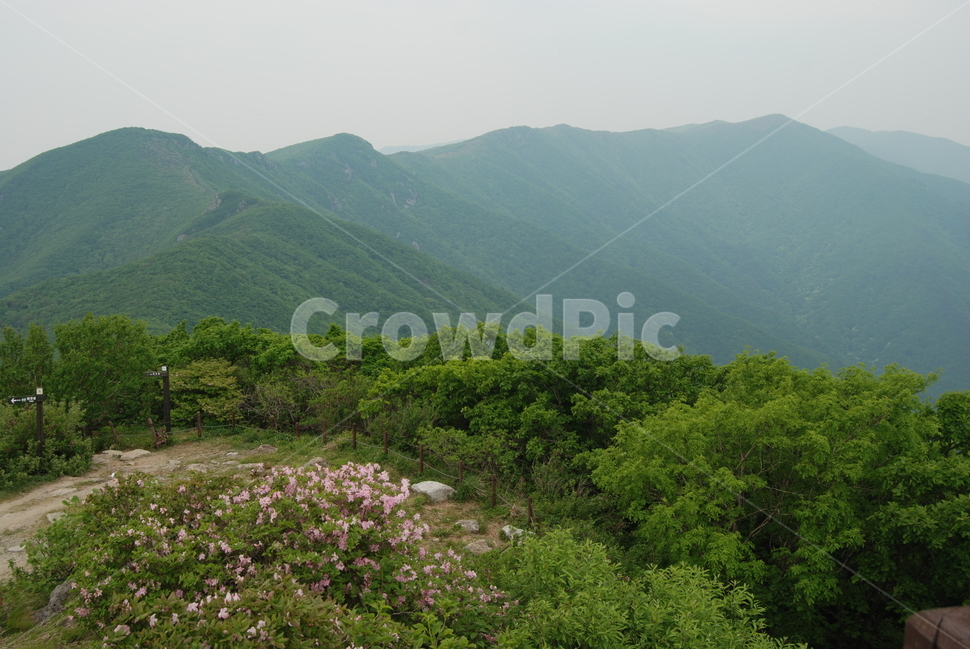 소백산,희방폭포,비로봉,연화봉,희방사,등산로,자연의위대함,능선,아름다움,신비스런산,돌,산행,힐링,자연,감성,등산,계절,여행,한국,한국명산,한국등산,풍경,눈,나무,하늘,바람,바람소리,환경,생태계,산,땅,자연,풍경,nature,landscape,한국자연풍경,한국자연경관,korea nature landscape,outdoors,옥외