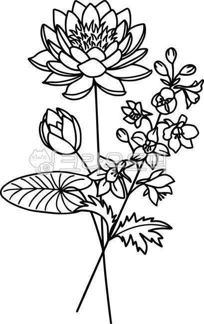 7월,수련,lotus,larkspur,델피니움,탄생화,꽃,꽃그림,꽃일러스트,그림,타투도안,문신,드로잉,타투디자인,타투,생일,플로랄디자인,꽃디자인,벡터,식물,라인,라인드로잉,라인아트,라인일러스트,선일러스트,선그림,식물그림,flower,plant,floraldesign
