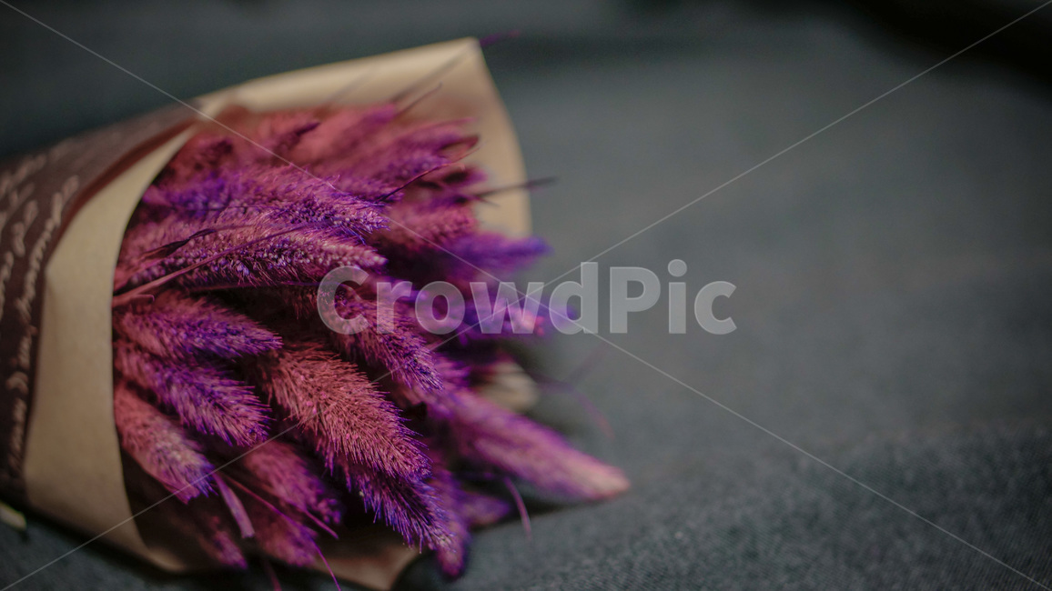 강아지풀,라그라스,보라색,퍼플,그레이,부케,꽃다발,포장,bristlegrass,purple,grey,bouquet,warpping,꽃,flower,기념일,축하,anniversary,congratulation,celebrate,celebration