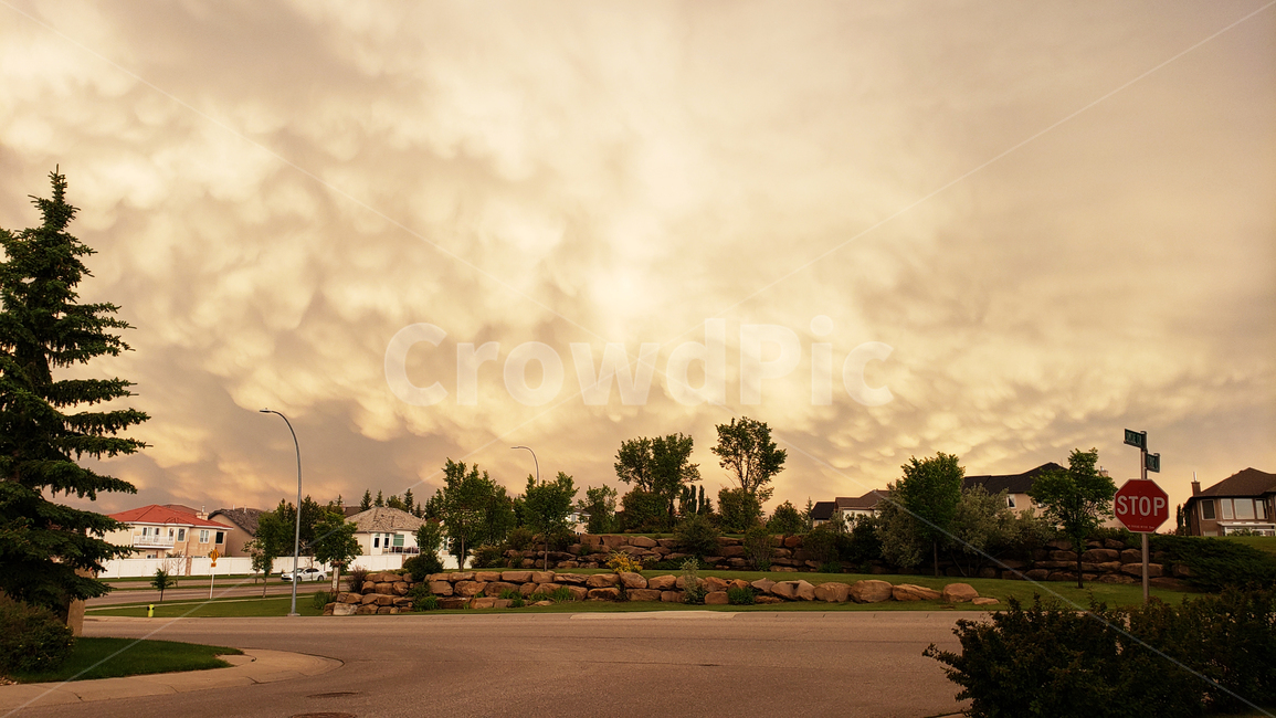 colud,자연,구름,옥외,노을,황금빛,캐나다,nature,sky,cloud,canada,golden,하늘