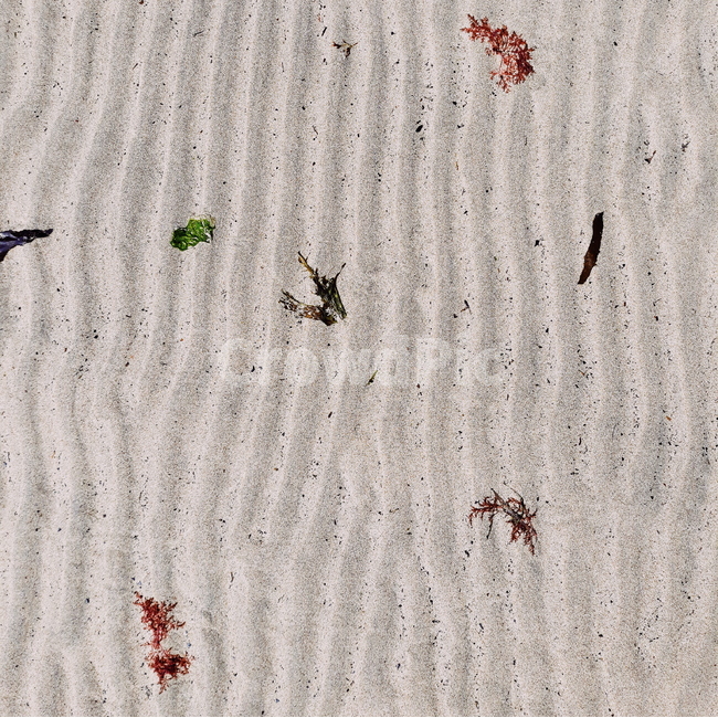 바다,제주도,백사장,무늬,해조,바닷가,beach,sand,모래,seaweed,pattern,감성,바닥,물경,텍스처,질감,패턴,texture,pattern