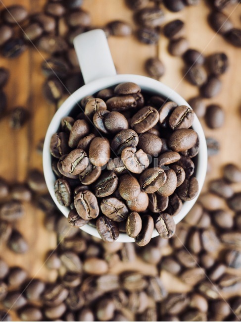 커피원두,원두,커피콩,로스팅원두,로스팅,커피,아메리카노,배경,음료,coffeebeans,coffeebean,roastingbeans,roasting,coffee,americano,background,beverage,커피,카페,coffee,cafe