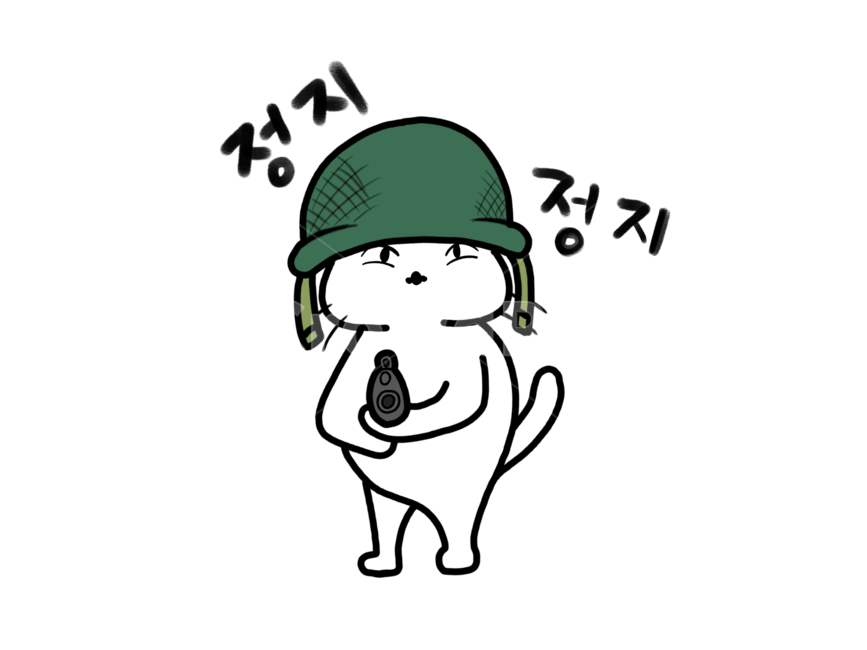 고양이,군대,귀여운,표현,표정,누끼,remove background,그래픽,일러스트레이션,graphic,illustration