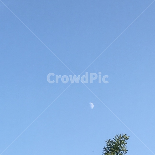 달,파란하늘,가을풍경,moon,낮