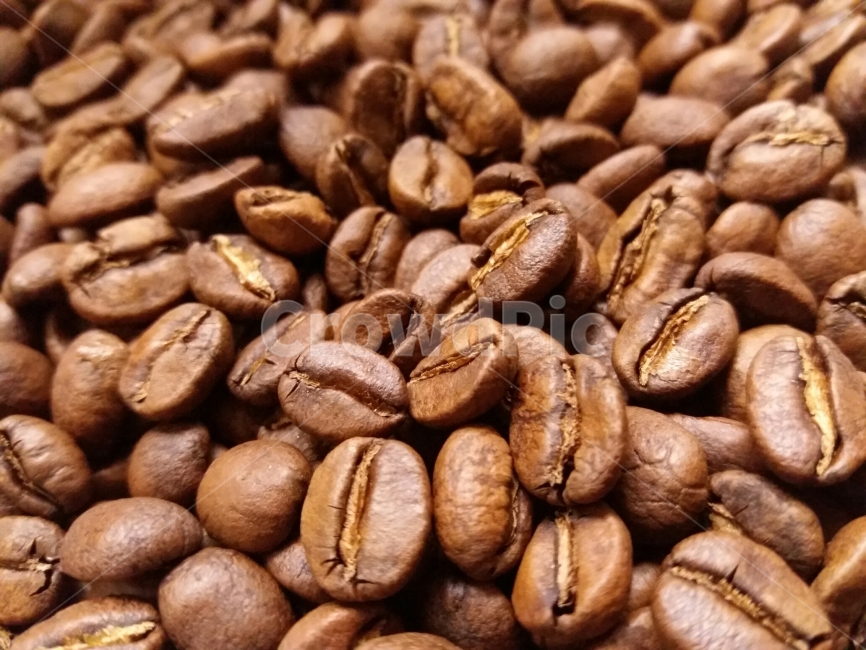 커피,원두,생두,로스팅,신선한,아메리카노,드립,coffee,bean,wholebean,roasting,barista,roaster,커피,카페,coffee,cafe