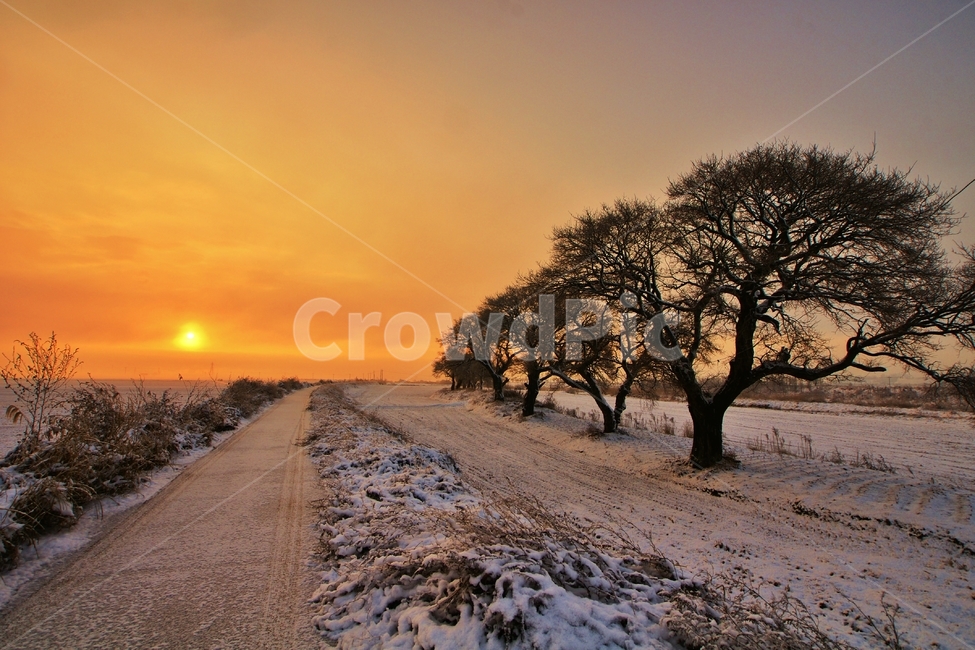 설경,미호천,일출,풍경,겨울,겨울,계절,winter,season,자연,풍경,nature,landscape,ground,바닥,gravel,자갈,road,도로,dirt road,흙길