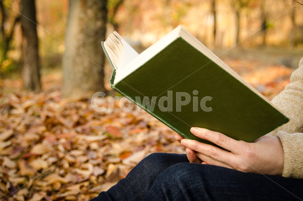 책,가을,낙엽,단풍,독서,자연,휴식,여유,여자,여성,손,나무,앉다,숲,사람,지식,문학,잎,소녀,학생,릴렉스,힐링,컨셉,공부,기분전환,가을,계절,fall,autumn,season