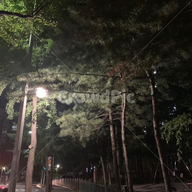 밤산책,저녁,산책,저녁산책,해리포터