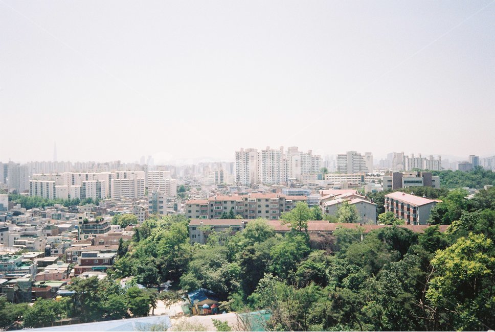 서울,도심,서울풍경,landscape,도시,아파트,city,도심속자연,seoul,풍경,건물,빌딩,집,마을,낮,오후,도시,풍경,city,landscape,한국도시풍경,한국도시경관,korea cityscape,urban,어반
