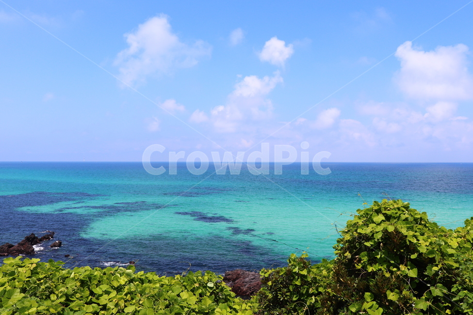 바다,제주도,제주,여름바다,jeju,sea,ocean,하늘,풀,자연,풍경,nature,landscape,한국자연풍경,한국자연경관,korea nature landscape,제주도,jeju,jeju island,outdoors,옥외,land,땅,water,물,대양