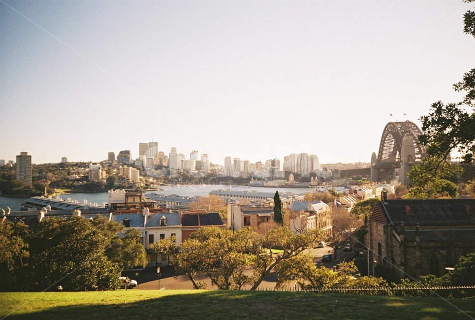 가을,언덕,도시,sydney,아침풍경,도시아침,city