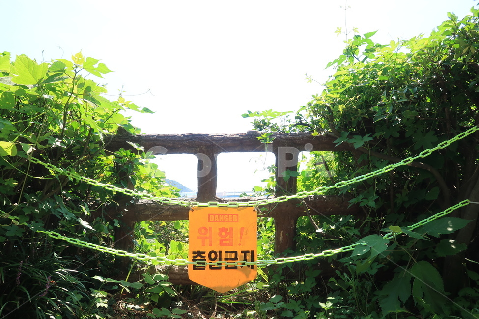 위험,출입금지,안내판,danger,안내,예방,표지판,금지,경고문,경고,체인,사슬,출입,통행금지,입장제한,입장금지,노란,노란색,여름,계절,summer,season,outdoors,옥외