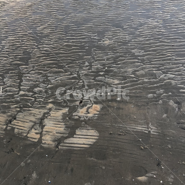 땅,바다,썰물,파도,조개,자연,풍경,nature,landscape,경치,outdoors,옥외,scenery,aerial view,조감도