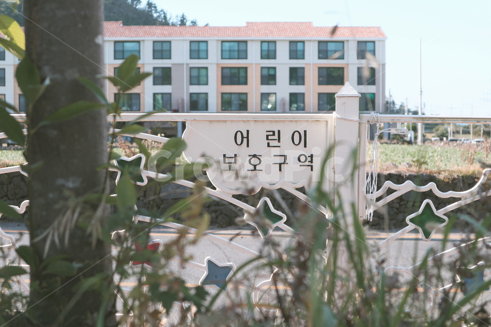 도로,어린이,어린이보호구역,풀,건물
