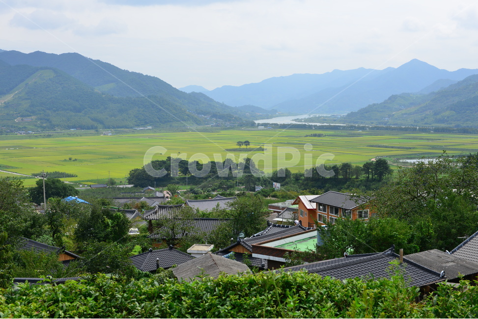 scenery,풍경,경남,하동,평사리,악양,최참판댁,돌담,초가집,여름,계절,nature,자연,outdoors,옥외,building,건물,hut,기와집,부수송,들판,오두막,rural,농촌