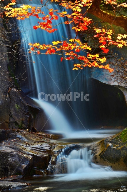 waterfall,폭포,water,물,nature,자연,river,강,outdoors,옥외,plant,식물,leaf,잎,강원도,인제,방태산,방태산폭포,방태산이단폭포,방태산가을,단풍,추색,낙엽,단풍잎,자연,풍경,nature,landscape
