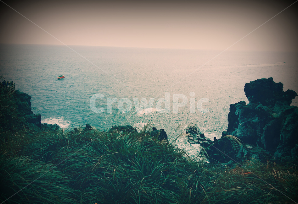 바다,바위,풀,sea,rock,자연,풍경,nature,landscape