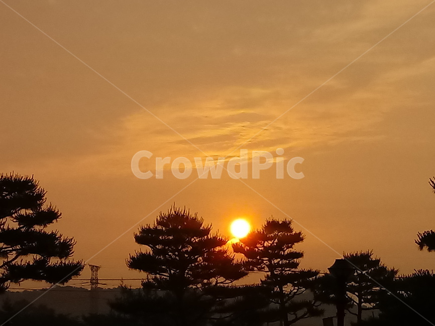 일출,해,태양,햇빛,sunrise,해돋이