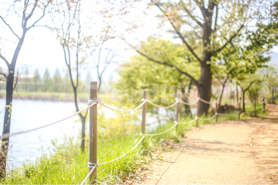 햇빛,감성,풍경,자연,길,나무,나뭇잎,봄,호수,대공원,nature,road,leef,season,fall,tree,emotions,scenery,자연,풍경,nature,landscape,휴식,힐링,rest,relaxation,healing,path,통로