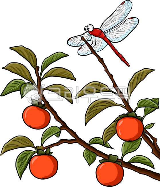 Persimmon tree,dragonfly,dragonfly,persimmon,leaf,fall,Chuseok,holiday,harvest,fruit,fall fruit,bountiful Chuseok,bountiful fall,tree,fall sky