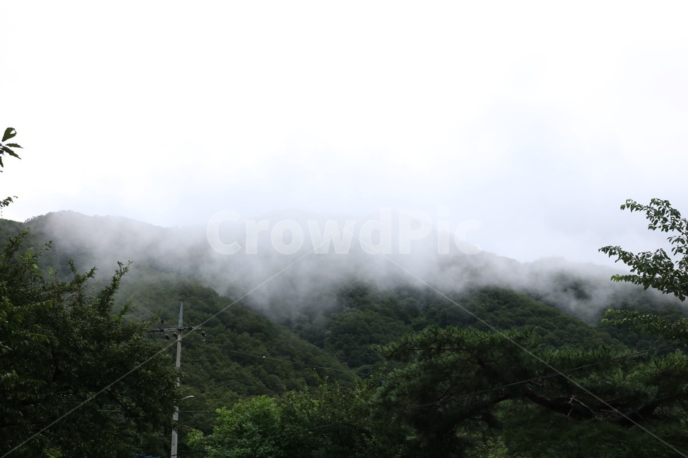 산,나무,안개,전봇대,초록,mountain,tree,fog,green,yama,ki,kiri,midori,자연,풍경,nature,landscape,weather,날씨,outdoors,옥외