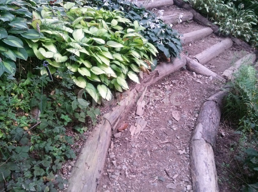 다람쥐,자연,산다람쥐,동물,squirrel,nature,animal