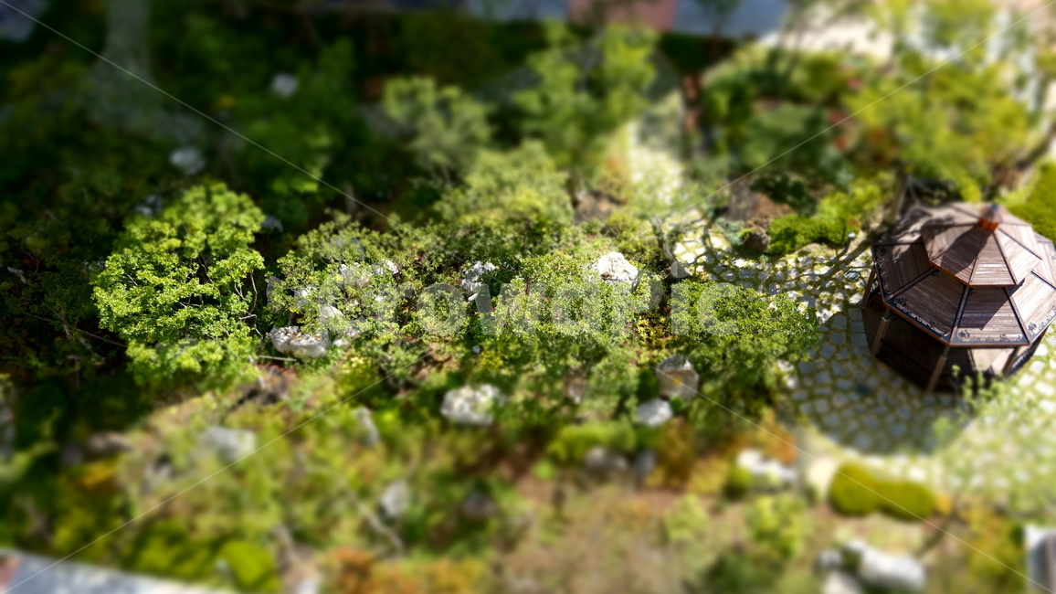 정원,풍경,미니어처,garden,miniature,자연,풍경,nature,landscape,건축물,건물외관,exterior,building,structure,architecture,construction,plant,식물,moss,이끼