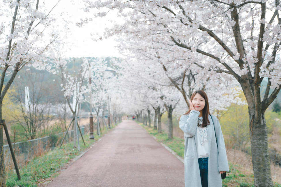여자,벚꽃,봄,flower,cheeryblossom,blossom,portrait,봄,계절,spring,season,사람,인물,인간,human,person,여성,여자,woman,female,lady,sleeve,소매,long sleeve,긴팔,plant,식물