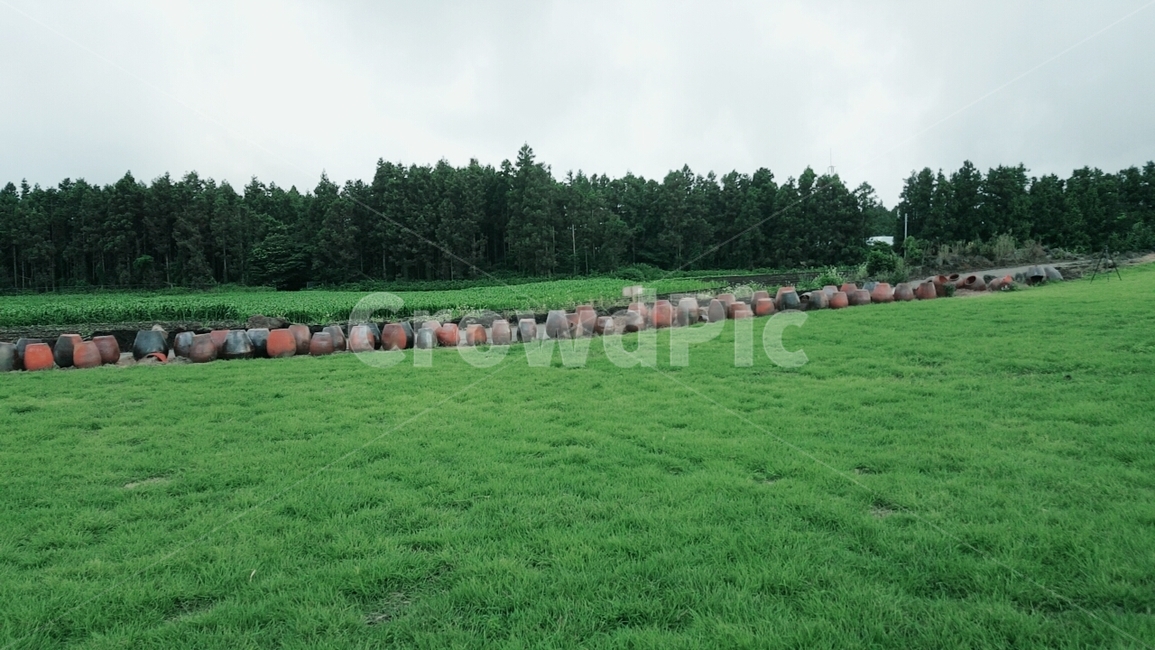 숲,나무,제주도,휴양림,자연,산림,풍경,들판,자연,풍경,nature,landscape,grass,잔디,plant,식물,lawn