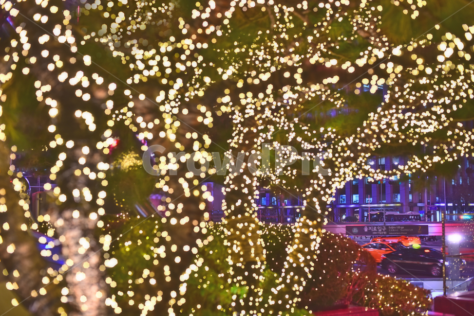 크리스마스,성탄트리,년말장식,성탄절,christmas,xmas,decoration,tree,ball,성탄볼,보케,빛망울,화려한,칼라풀,조명,불빛,라이트,색감,colorful,bokeh,배경,바탕,백그라운드,background,밤거리,도시야경,거리풍경,야경,야외,옥외,outdoor,light,빛,꼬마전구,메리크리스마스,성탄절,merry christmas