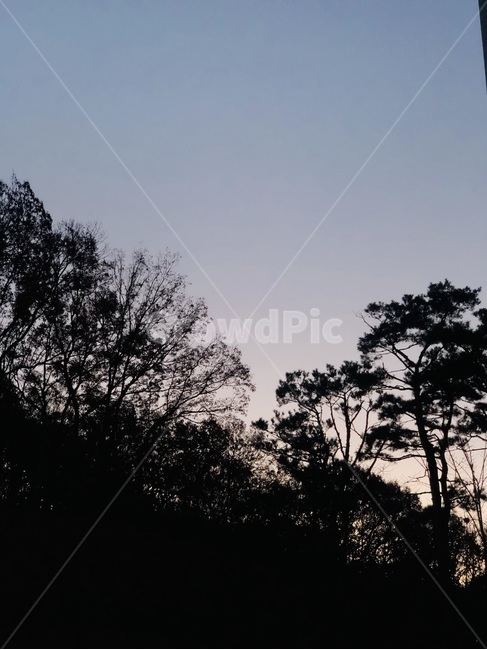 silhouette,실루엣,nature,자연,일출