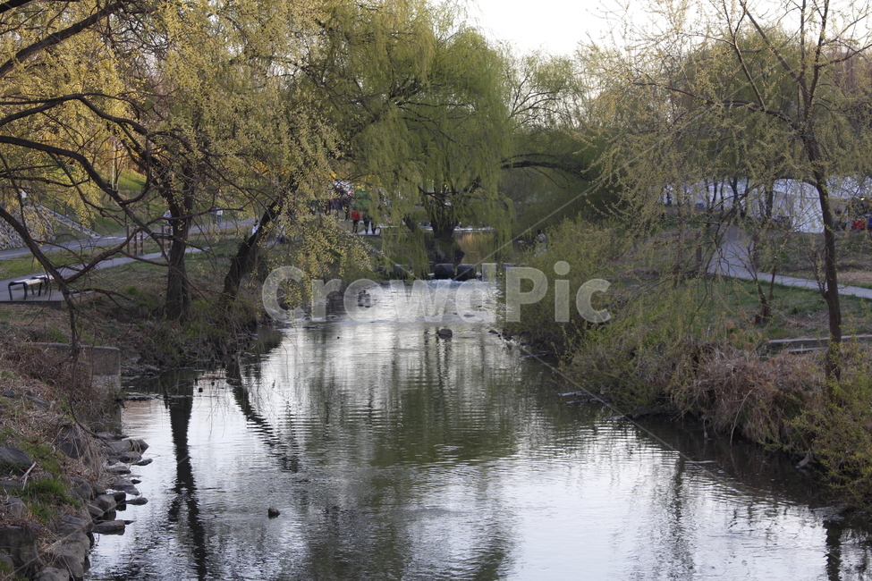 water,outdoors,옥외,자연,물,하천,나무,자연,풍경,nature,landscape