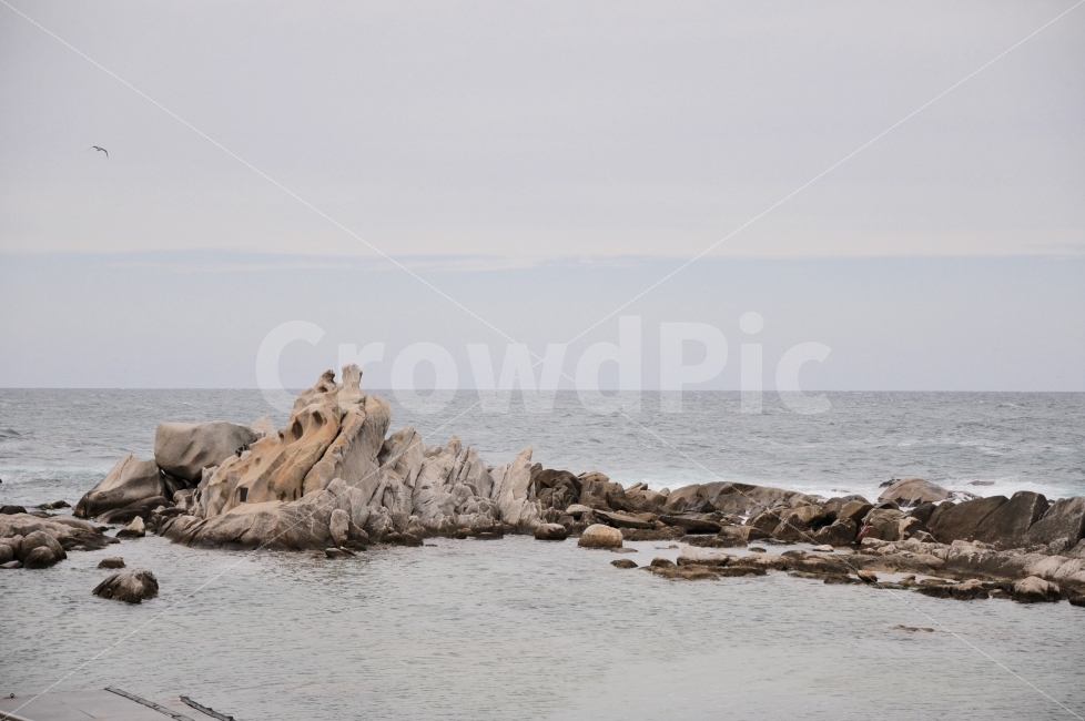 바위,자연,풍경,바다,새,자연,풍경,nature,landscape,한국자연풍경,한국자연경관,korea nature landscape,promontory,곶