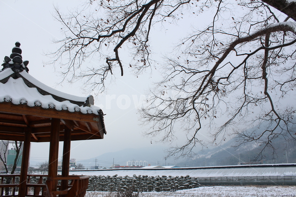 겨울,눈,snow,겨울아침,시골풍경,snowing,풍경,landscape,한겨울,sensitive,feeling,winter,white