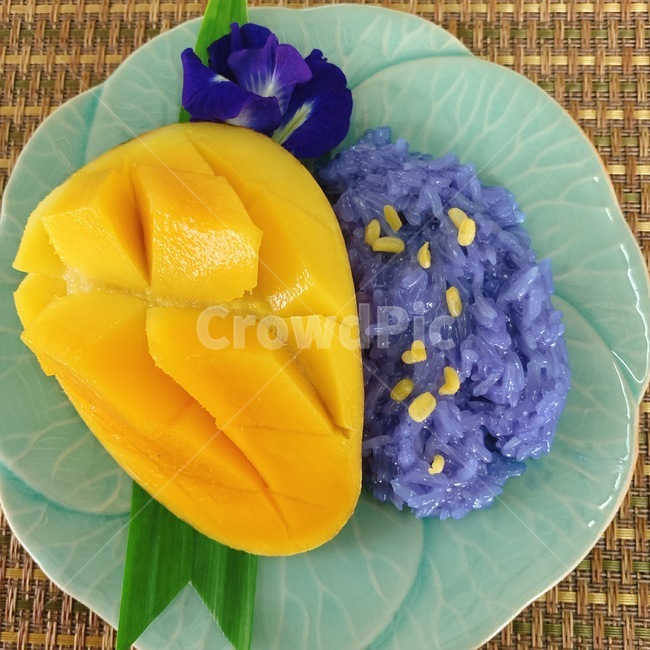 dish,요리,food,음식,meal,식사,cook,해외음식,해외,foreignfood,foreigndish,foreignmeal,foreigncook,oversea,식재료,치앙마이,chiangmai,요리교실,padthai,태국,thailand,망고밥,망고,mango,색깔,색감,색상,color,yellow,blue,puple