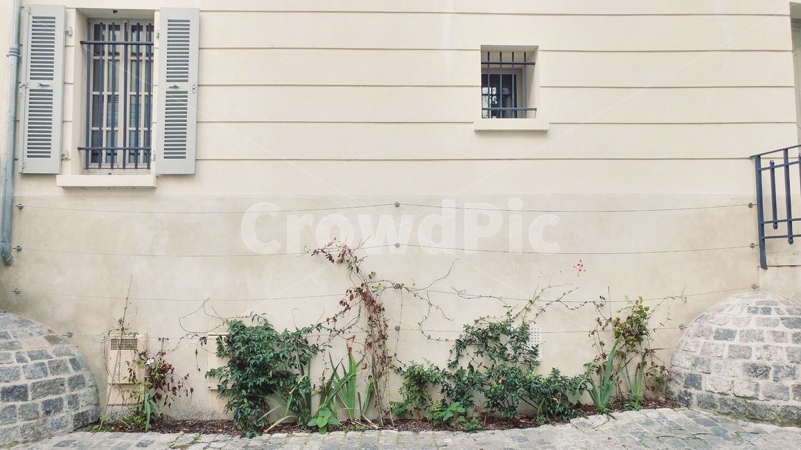 벽,집,창문,배경,background,식물,흰색,white,wall,house,window,건축물,건물외관,exterior,building,structure,architecture,construction