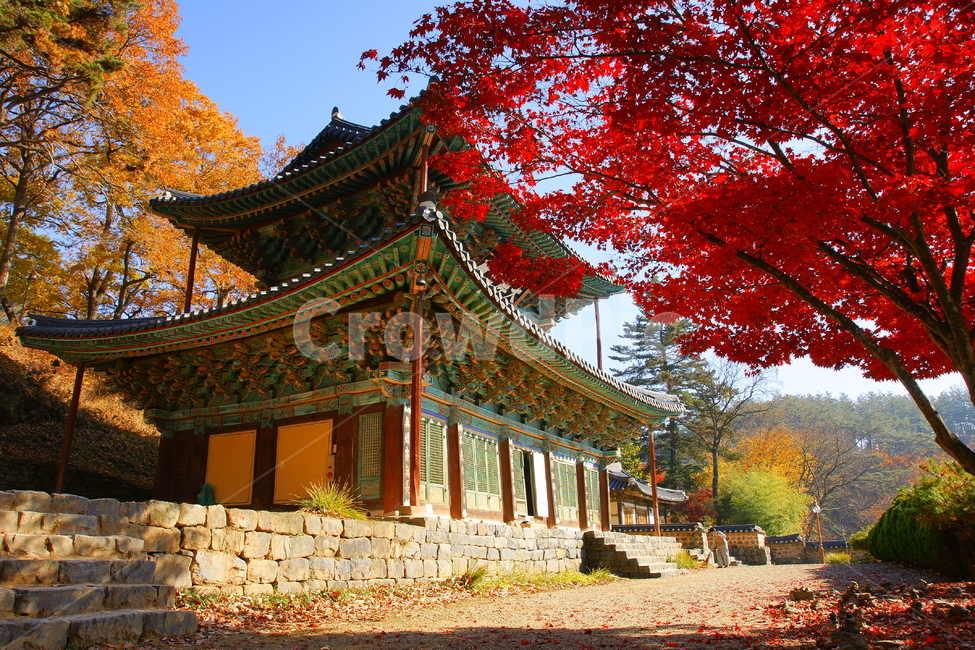 마곡사,유네스코,단풍,풍경,사찰,가을,계절,fall,autumn,season,한국전통,한국문화,korean traditional,korean culture,종교,신앙,religion,belief,faith,건축물,건물외관,exterior,building,structure,architecture,construction,건물
