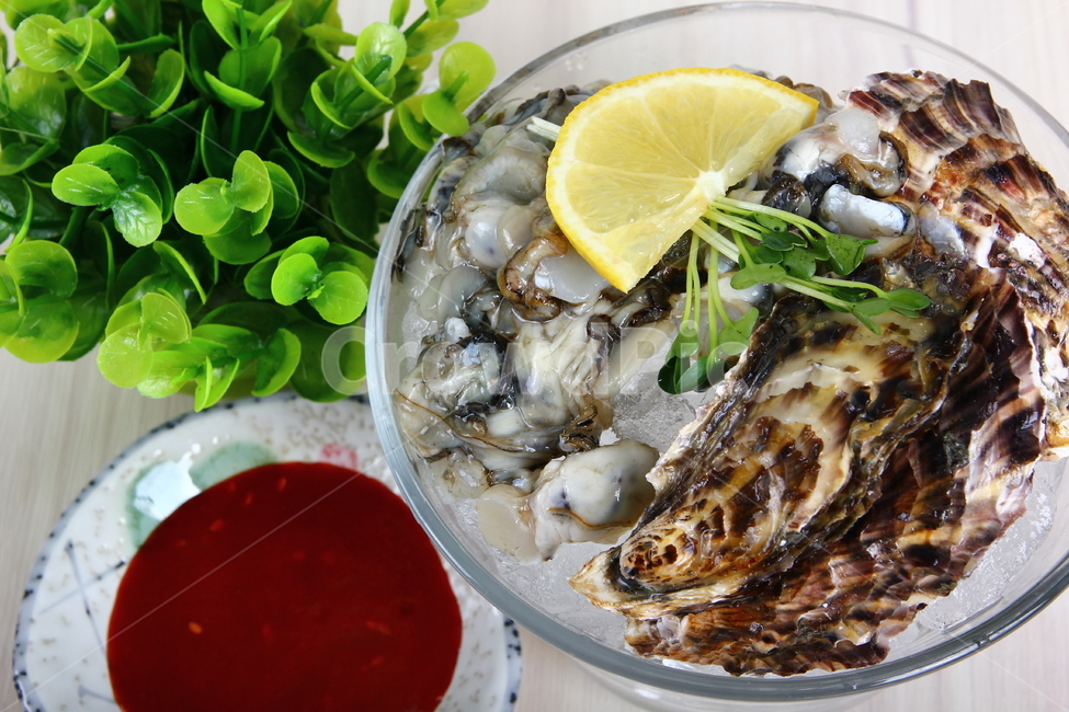석화,굴,생굴,해산물,조개,신선,싱싱,음식,식품,dish,oysters,seafood,shellfish,fresh,crispy,food,음식,식재료,요리,food,cook,meal,dishes,food reserves,수산물,해산물,fishery products,seafood