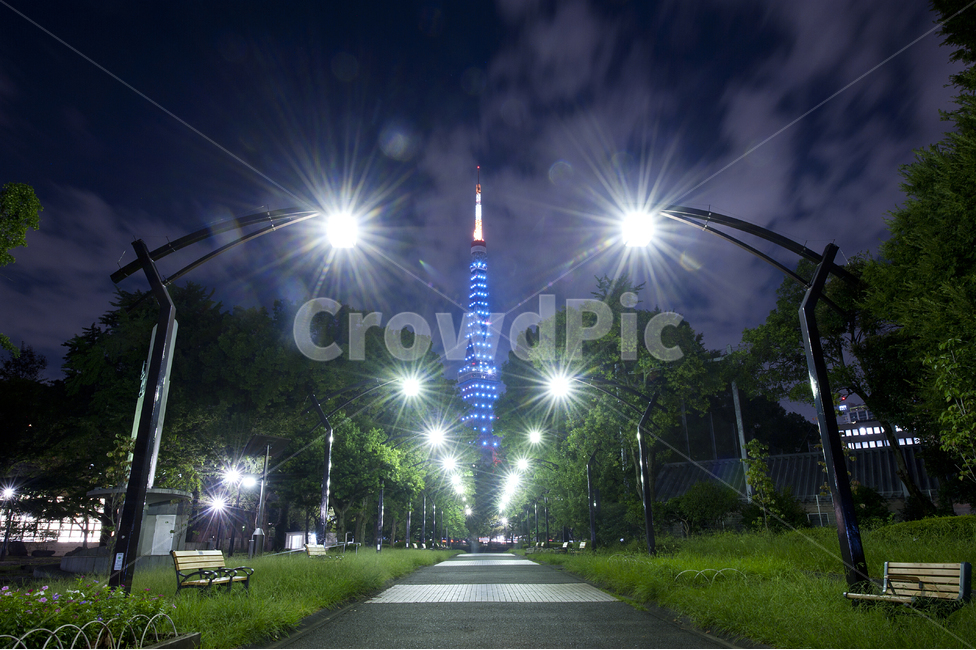 도쿄타워,렌드마크,일본,야경,가로수길,야경,밤,풍경,nightscape,night,landscape,light,빛,flare,플레어