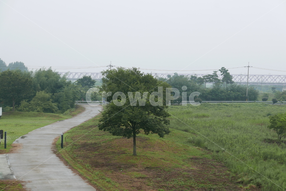 식물,초원,나무,공원,길,plant,tree,way,자연,풍경,nature,landscape,path,통로,outdoors,옥외