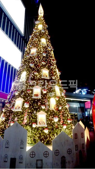 크리스마스사진공모전,tree,나무,크리스마스트리,트리,xmas,산타,전구,트리장식,장식,산타양말,양말장식,전구장식,크리스마스이브,산타할아버지,산타클로스,성탄절