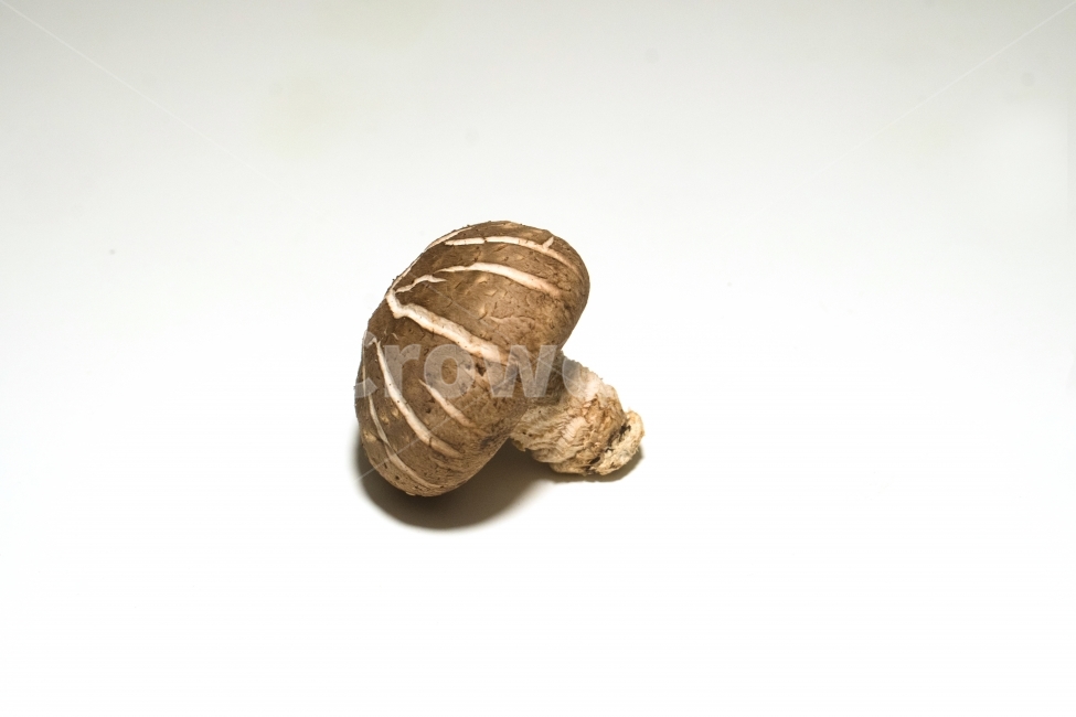 표고,버섯,음식,재료,식자재,버섯,mushroom,음식,식재료,요리,food,cook,meal,dishes,food reserves,누끼,remove background