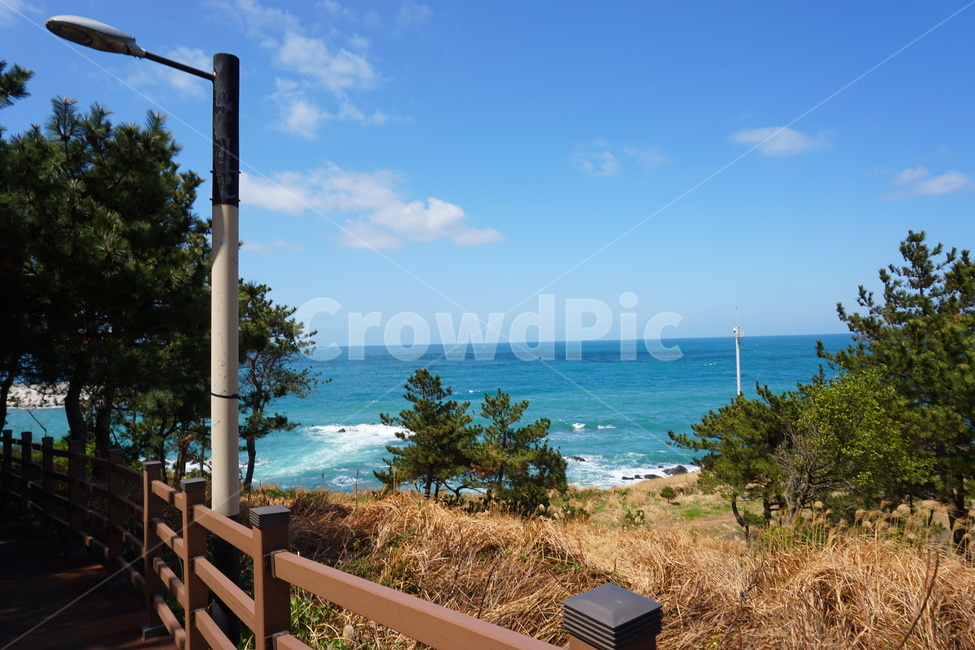 도두봉,도두오름,제주도두봉,제주도도두봉,오름