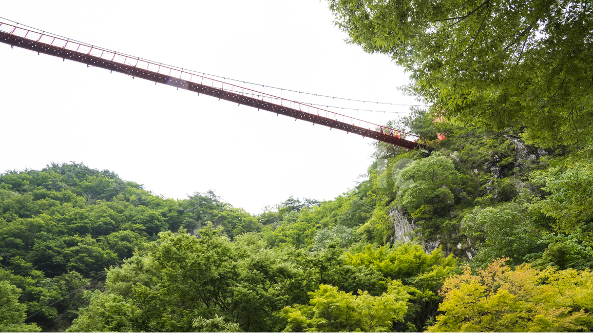 자연,풍경,여름,신록,공중,다리,뽕뽕다리,구름다리,공원,군립공원,강천산군립공원,나무,숲,산,강천산,유원지,산행,나드리,등산,등산로,트래킹,사람,등산객,배경,힐링,건강,순창,전북