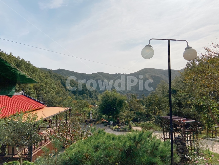 시골,휴식,별장,나무,숲,힐링,relax,trees,froest,country,풍경,가을,여름,자연