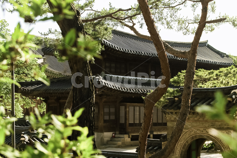 서울,덕수궁,풍경,궁,궁전,한국전통,한국문화,건축물