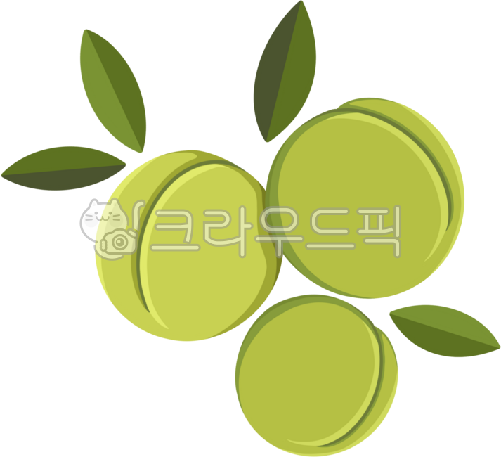 매실,매실청,매실열매,과일,열매,초록